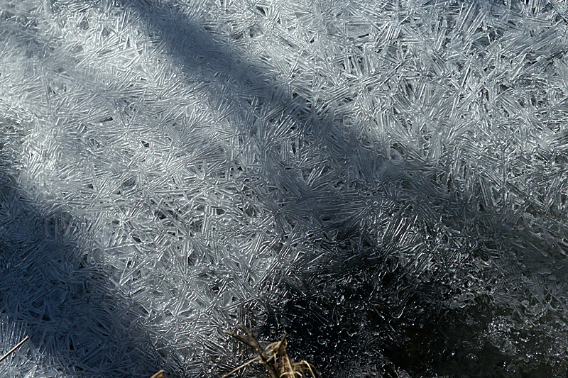 Ruisseau du Quioules - Glace sur le ruisseau