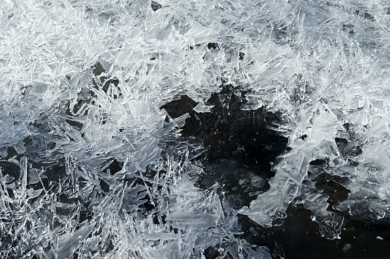 Ruisseau du Quioules - Glace sur le ruisseau