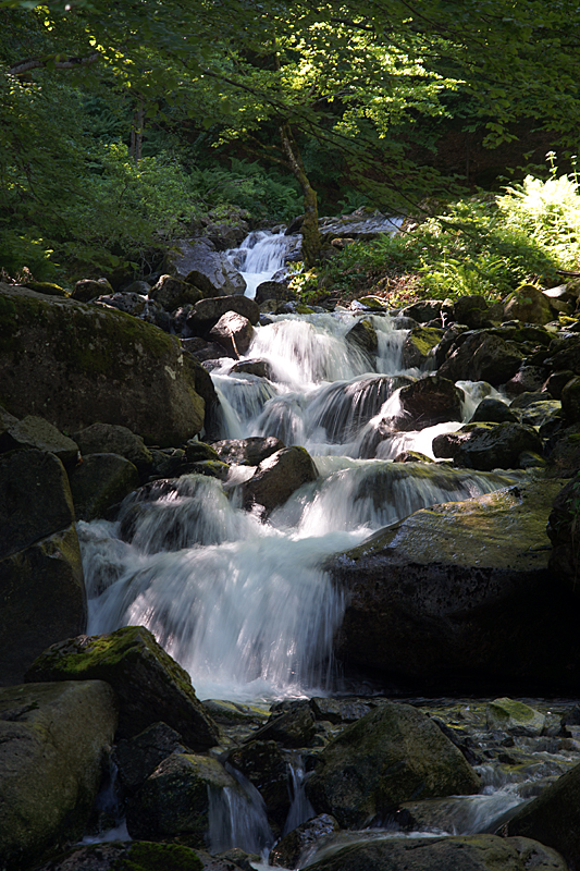 Cascade d Ars - Torrent