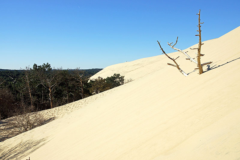 Arcachon - Ascension de la Dune du Pyla