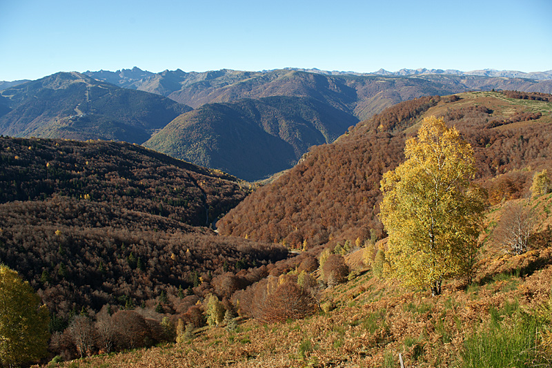 Balade au Chioula - En montant au refuge du Chioula