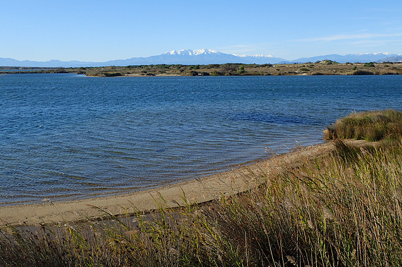 Leucate - Banyuls - L étang de Leucate et le pic du Canigou