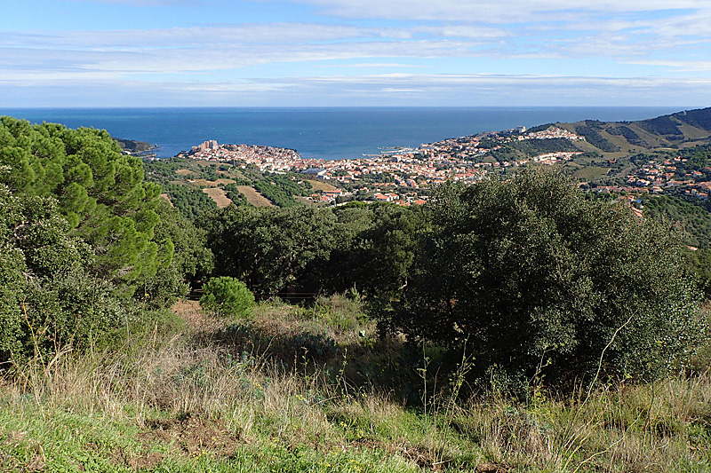 Leucate - Banyuls - Banyuls depuis la chapelle Notre-Dame de la Salette