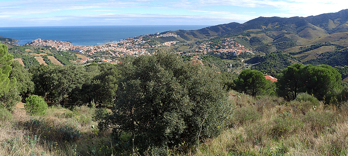 Leucate - Banyuls - Banyuls depuis la chapelle Notre-Dame de la Salette