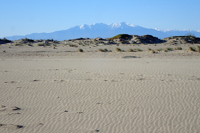 Leucate - La plage de Leucate et le pic du Canigou