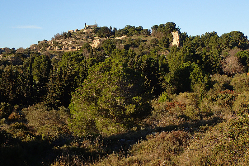 Leucate - Le château de Leucate
