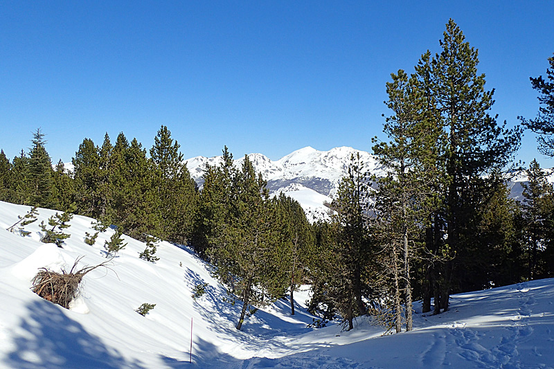 Raquettes à Beille - Sur la piste de l Orry