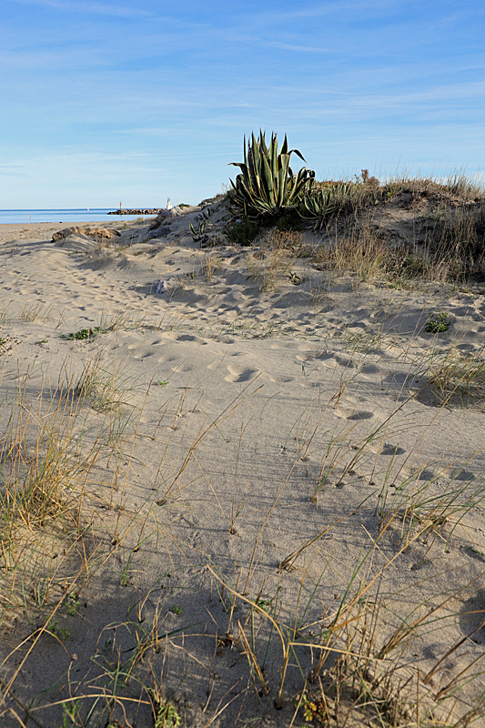 Balade audoise - Les dunes...