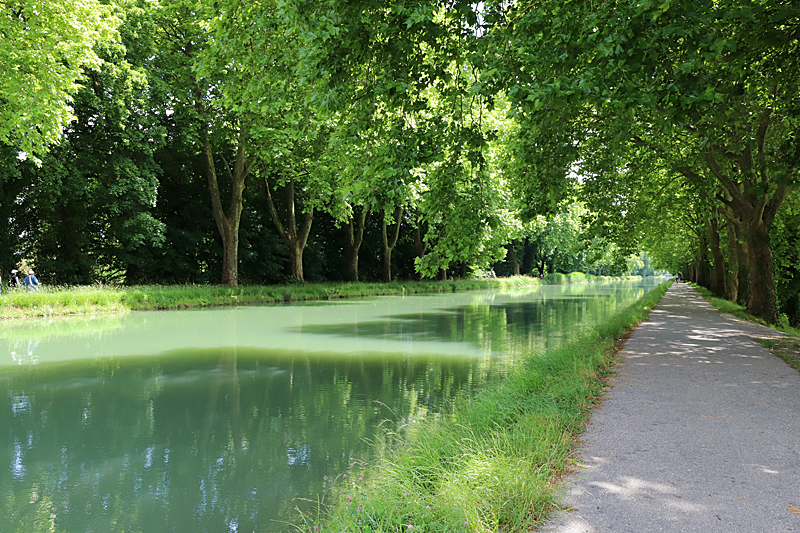 Au-Mo-Lau Tour ! - Canal des Deux-Mers à Moissac