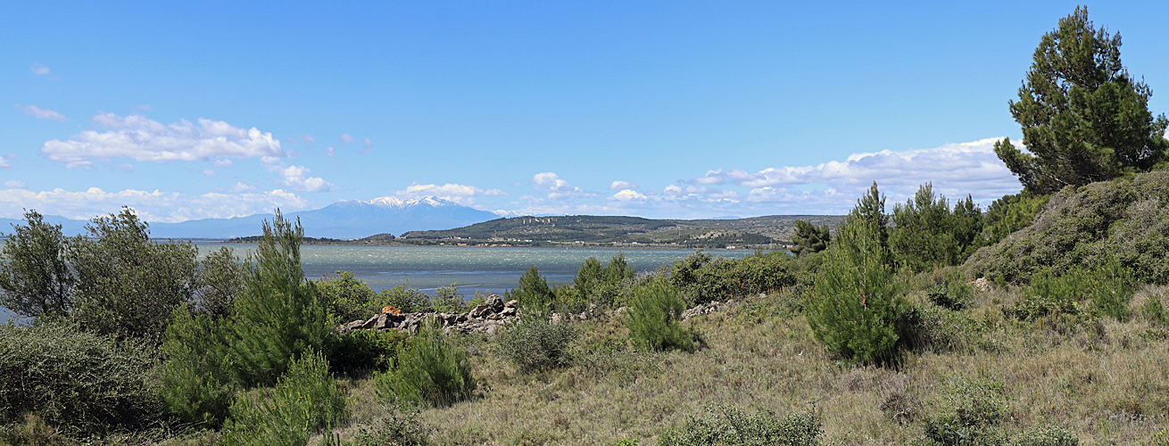 Entre Aude et Pyrénées Orientales - L étang de Leucate et le Canigou