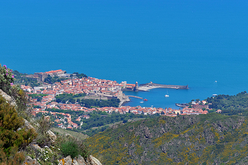 Entre Aude et Pyrénées Orientales - Collioure depuis la tour de la Madeloc