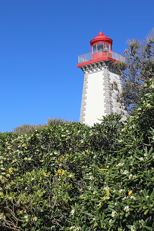 La falaise de Leucate - Le phare de Leucate