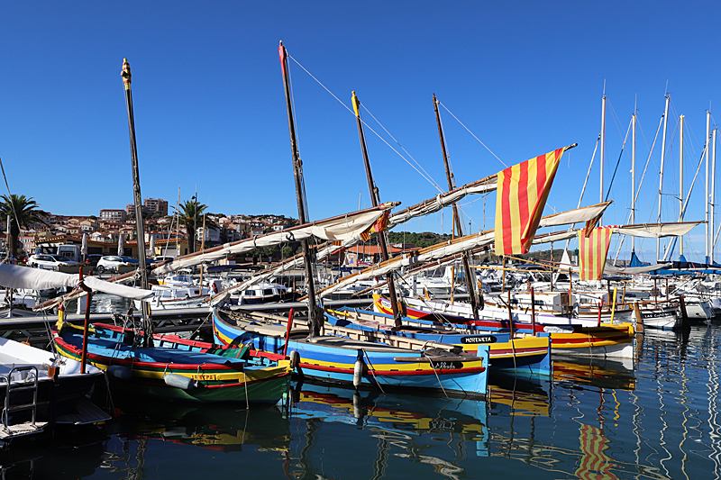 Cap Rédéris - Barques catalanes au port de Banyuls