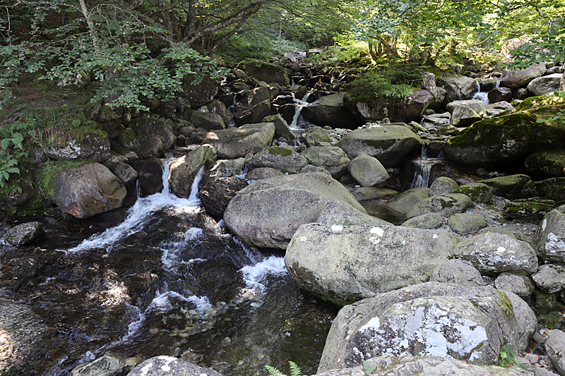 Cascade d Ars - Le ruisseau d Ars bien avant d arriver à la cascade