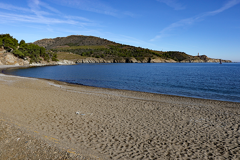 Cap Béar - La plage de Paulilles