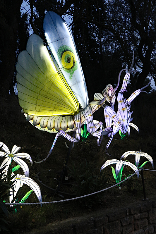 Lumières Africaines ! - Lanternes à la réserve africaine de Sigean
