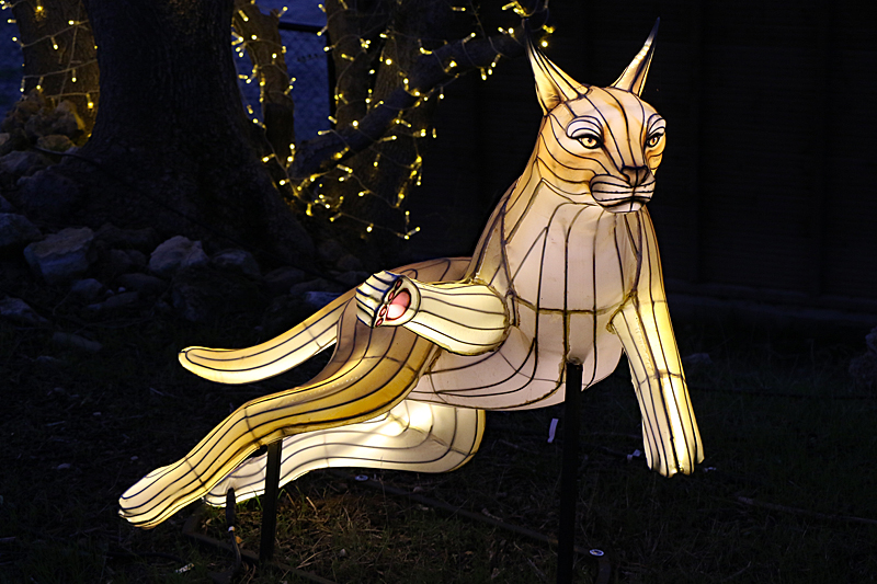 Lumières Africaines ! - Lanternes à la réserve africaine de Sigean