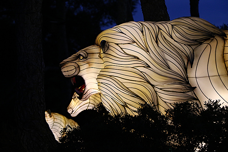 Lumières Africaines ! - Lanternes à la réserve africaine de Sigean