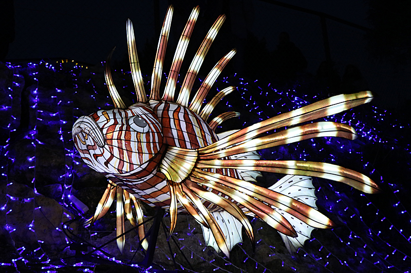 Lumières Africaines ! - Lanternes à la réserve africaine de Sigean