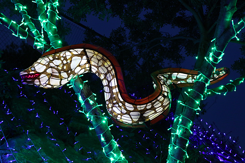 Lumières Africaines ! - Lanternes à la réserve africaine de Sigean