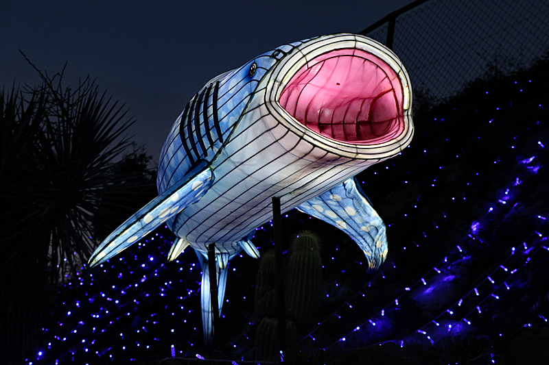 Lumières Africaines ! - Lanternes à la réserve africaine de Sigean