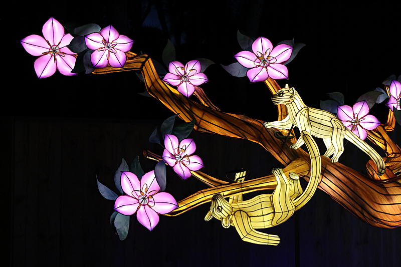 Lumières Africaines ! - Lanternes à la réserve africaine de Sigean