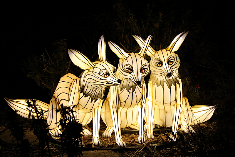 Lumières Africaines ! - Lanternes à la réserve africaine de Sigean