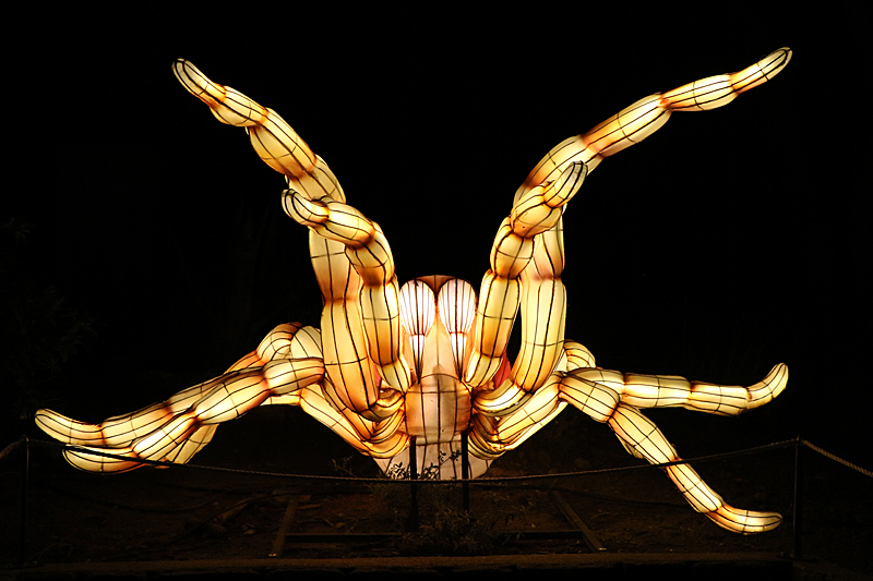 Lumières Africaines ! - Lanternes à la réserve africaine de Sigean