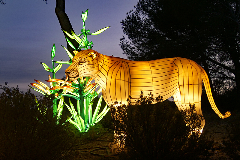 Lumières Africaines ! - Lanternes à la réserve africaine de Sigean