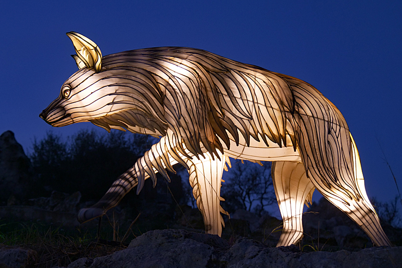 Lumières Africaines ! - Lanternes à la réserve africaine de Sigean