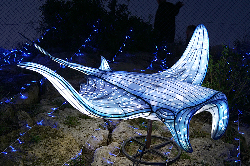 Lumières Africaines ! - Lanternes à la réserve africaine de Sigean