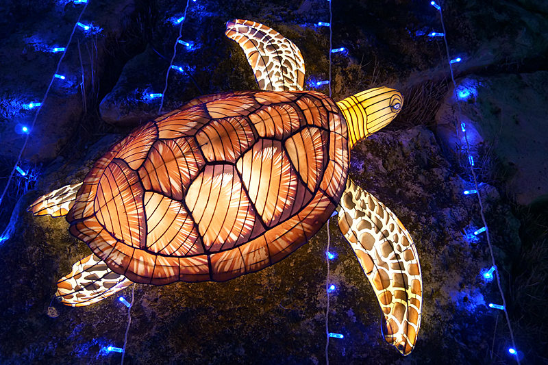 Lumières Africaines ! - Lanternes à la réserve africaine de Sigean