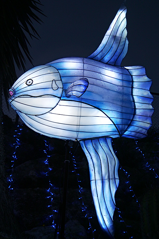 Lumières Africaines ! - Lanternes à la réserve africaine de Sigean