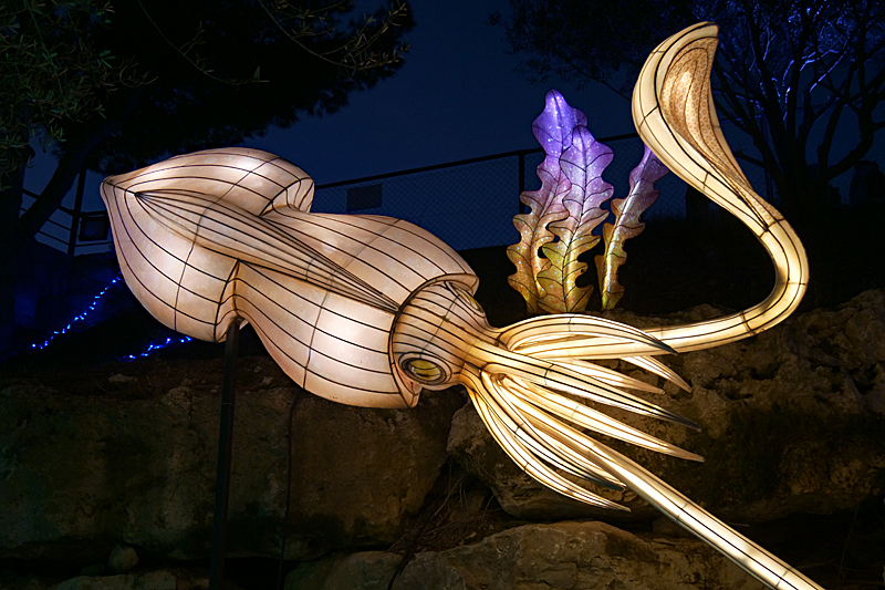 Lumières Africaines ! - Lanternes à la réserve africaine de Sigean