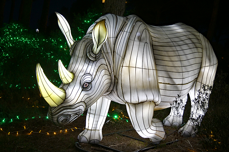 Lumières Africaines ! - Lanternes à la réserve africaine de Sigean