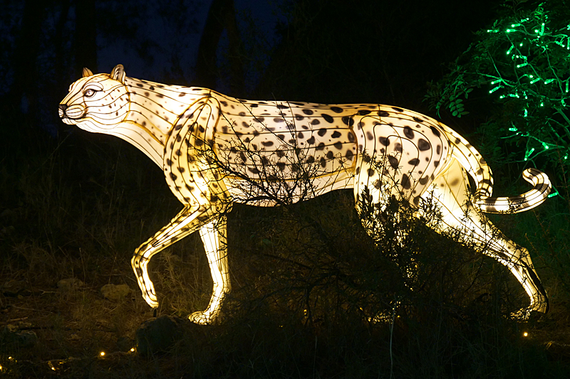 Lumières Africaines ! - Lanternes à la réserve africaine de Sigean