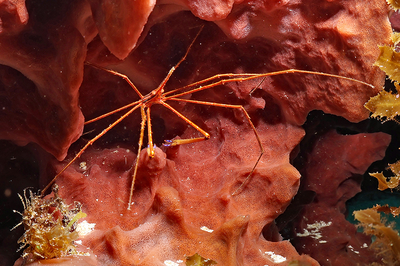 Martinique - photo n° 18