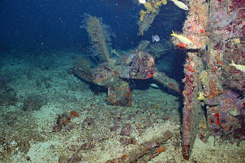 Martinique - photo n° 143