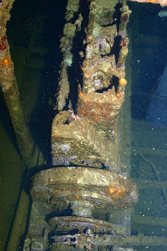 Martinique - photo n° 148