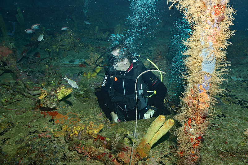 Martinique - photo n° 149