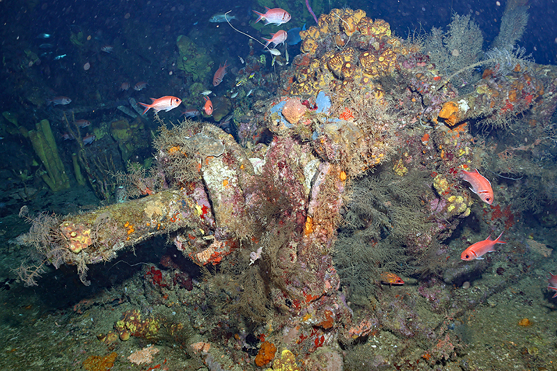 Martinique - photo n° 150