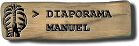 -- Passer en mode manuel --