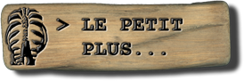 -- Ouvrir petit plus --