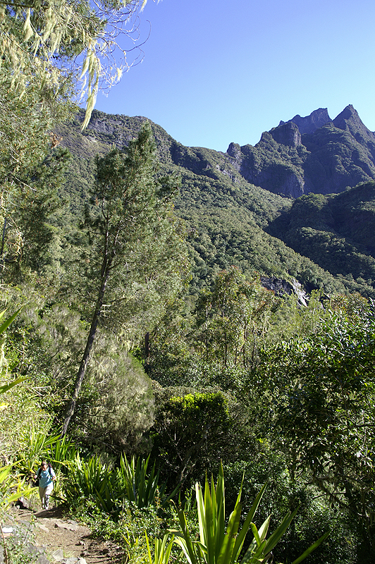Cirque de Cilaos