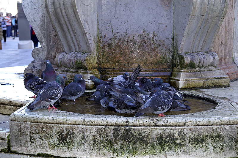 Venise