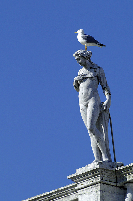 Venise
